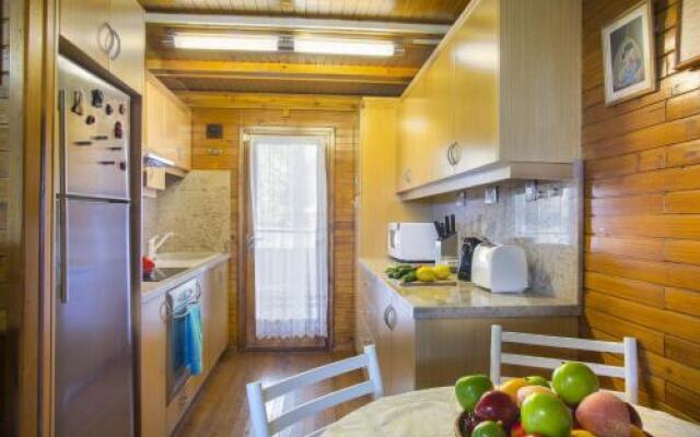Ricky Chalet Near Troodos
