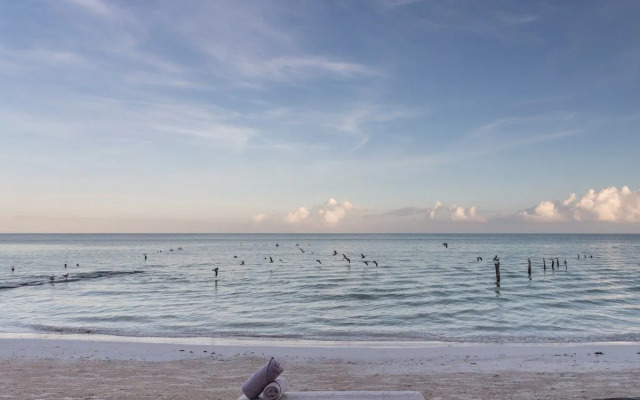 Nomade Holbox