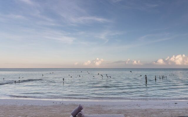 Nomade Holbox