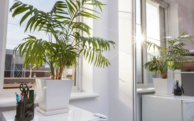 HENRIETTA, Carlton Studio Apartment