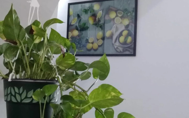 Tourist House La Castellana