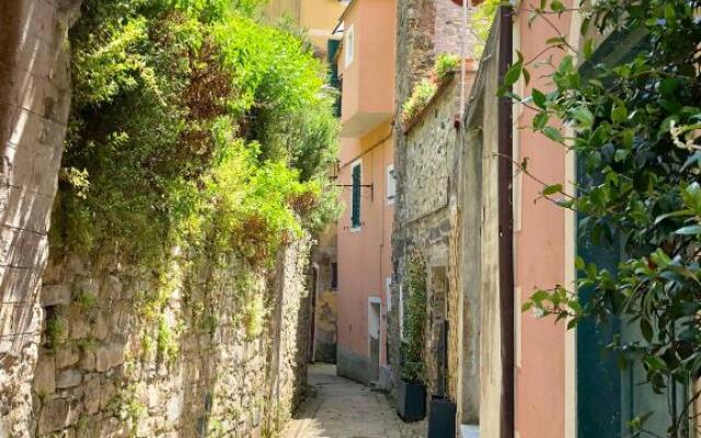 Monterosso Nido 3