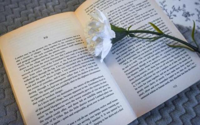 Your own apartment in Cracow