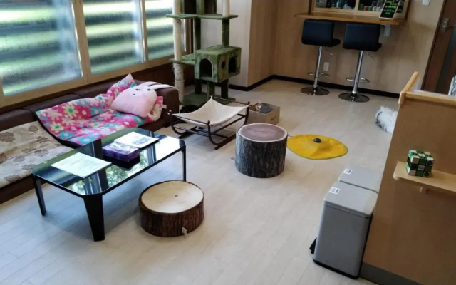 Cat Cafe & Stay Cultus's Home
