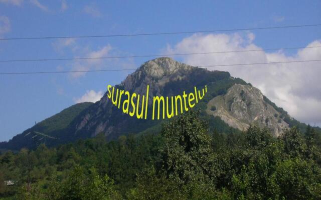Surasul Muntelui