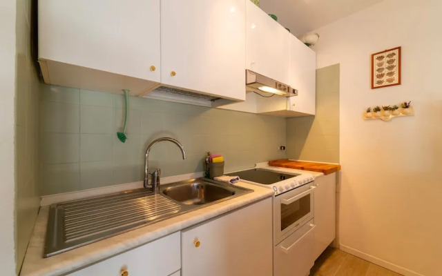 Panorama Lake and Garden