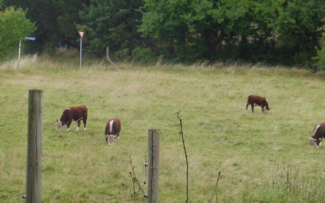 Lille Gaucho Bed & Breakfast