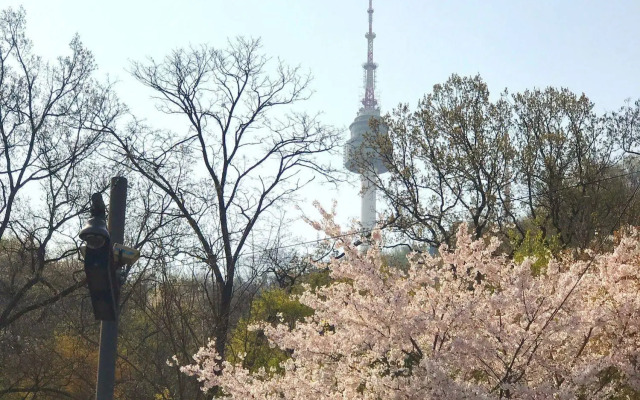 Vestin Villa Myeong-dong Guest House