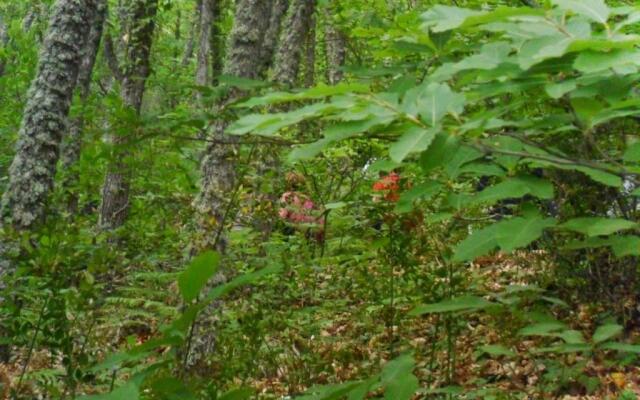 Casa Rural La Azotea