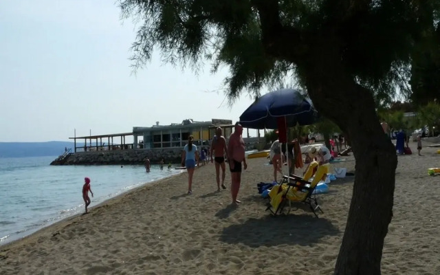 Ante - 200 m From sea - A1