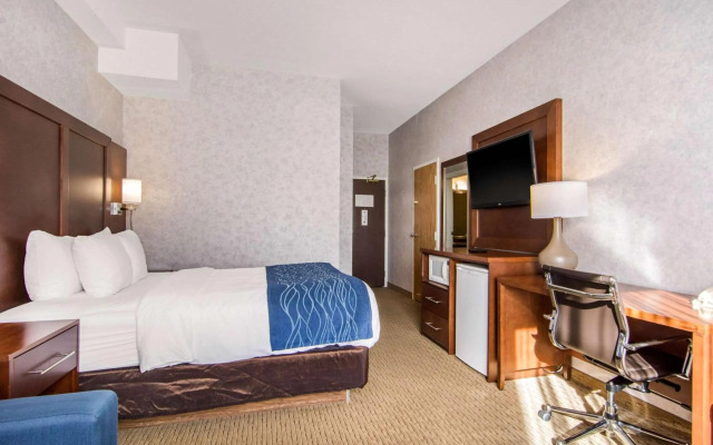 Comfort Inn & Suites Medicine Hat