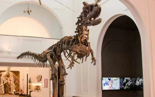 Casa com 4 quartos no Ipiranga