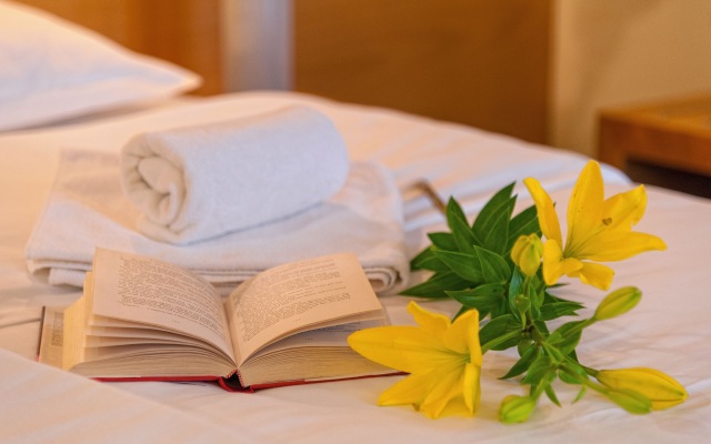 Hotel Saudade