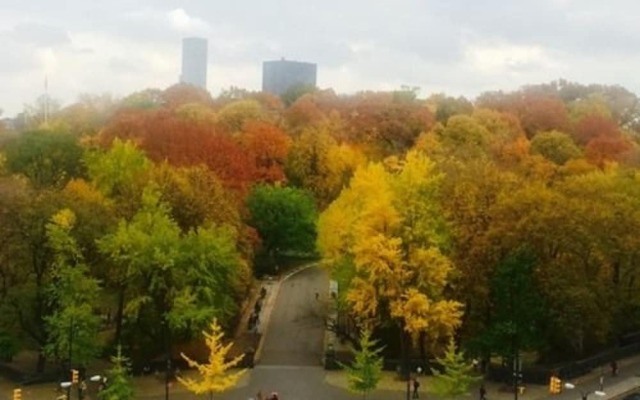 Central Park View Apartment