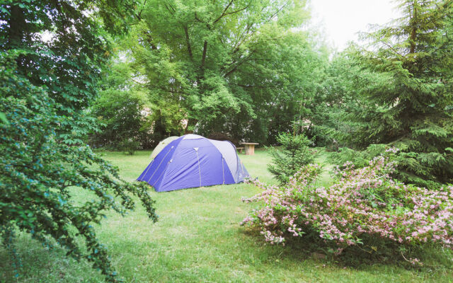Downtown Forest Hostel  Camping