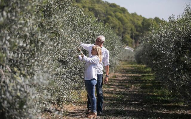 Masia Can Viver - Olive oil tourism B&B