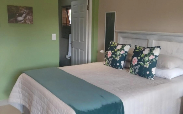 Sonhos , dreams Unit 2