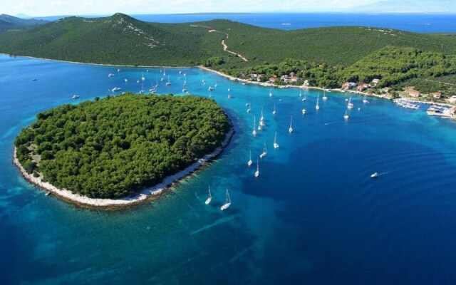 Apartment in Molat With sea View