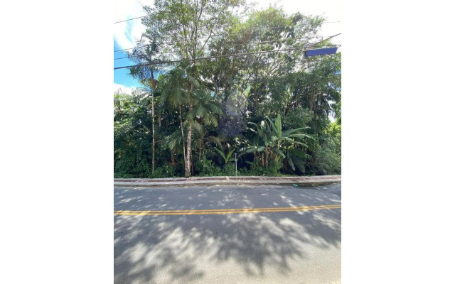 Apto temático Dinossauros