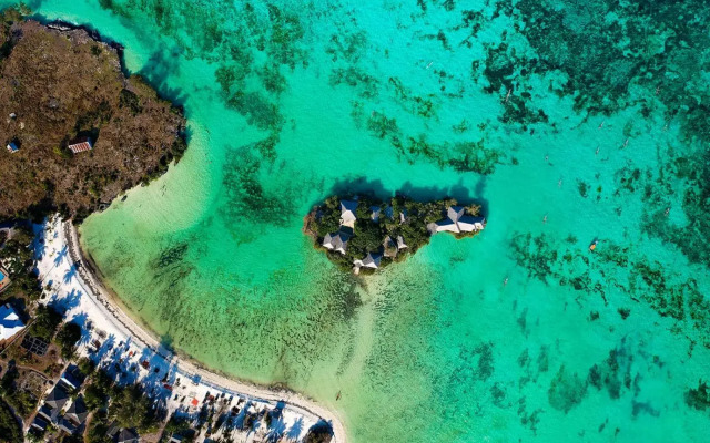 The Island - Pongwe Lodge - Adults Only