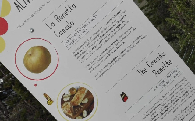 Agriturismo NonSoloMele