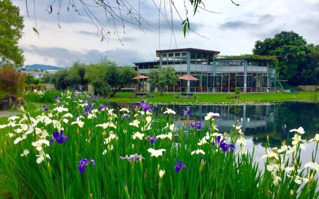 Green Willow House