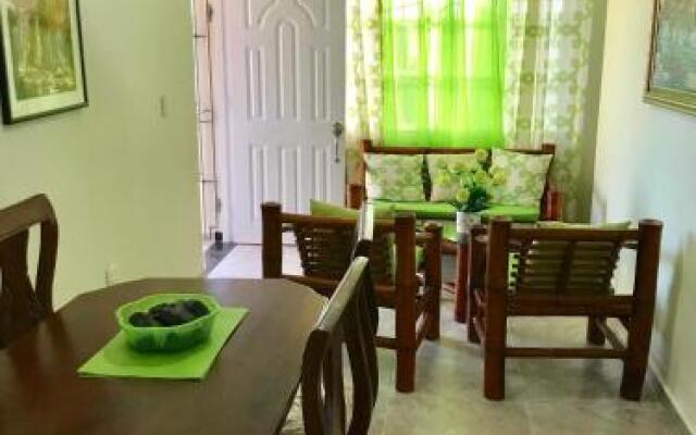 Higuey Center City