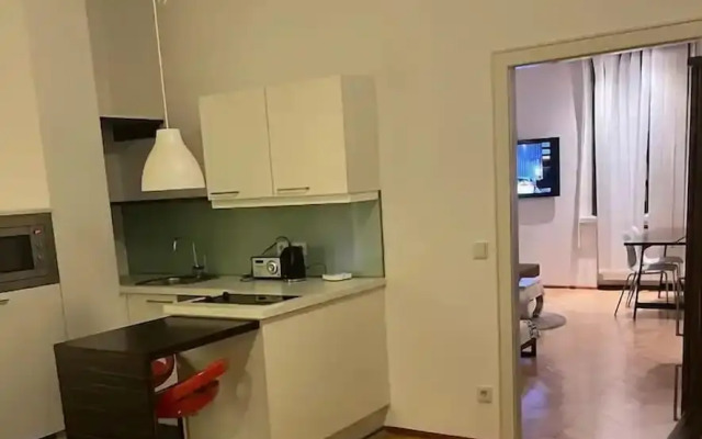 Schöne Wohnung in der Wiener Innenstadt