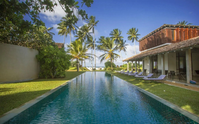 The Frangipani Tree By Edwards Collection