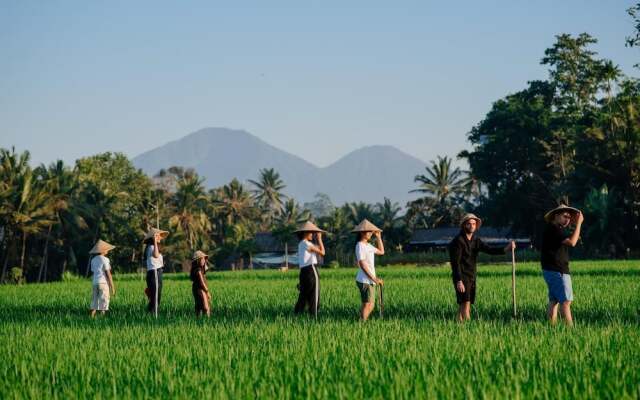 BAKUNGAN diJero Homestay