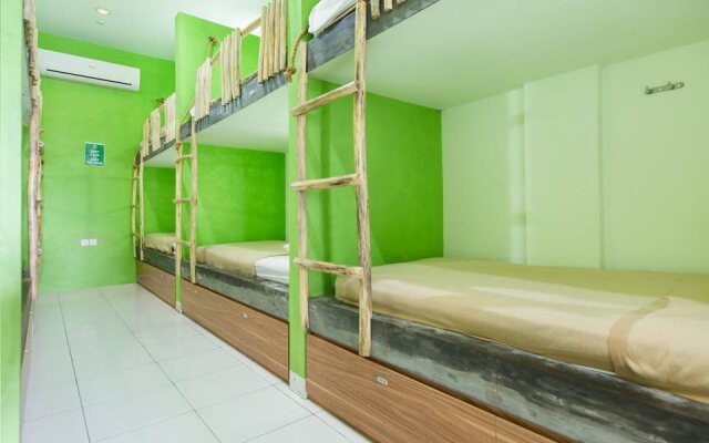 Hostel World The Eco living