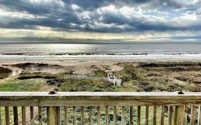 Happy Honu by RedAwning