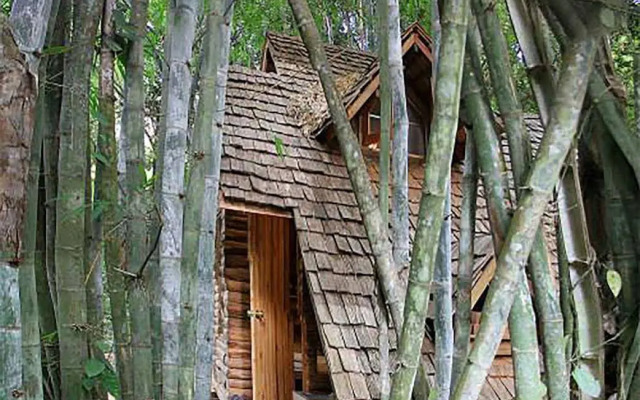Rabeang Pasak Treehouse Resort
