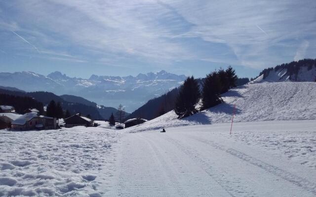 Terrasses Du Mont Blanc