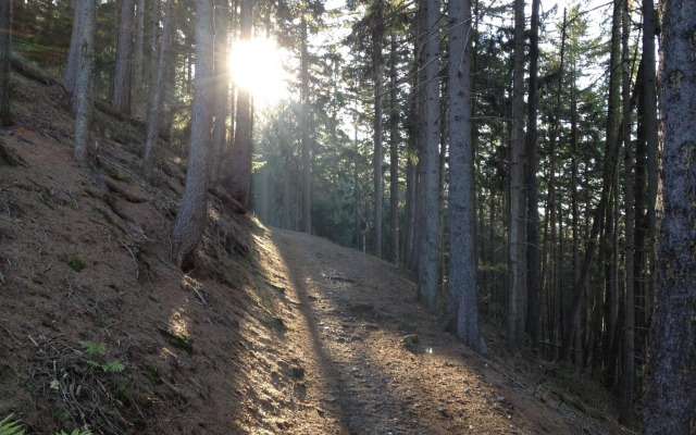 Altstadt Ferienwohnungen