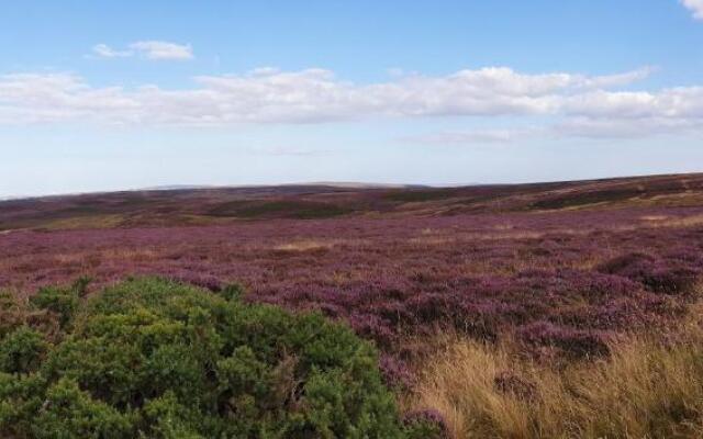 6m Emperor Tent, Near Whitby, With log Burner