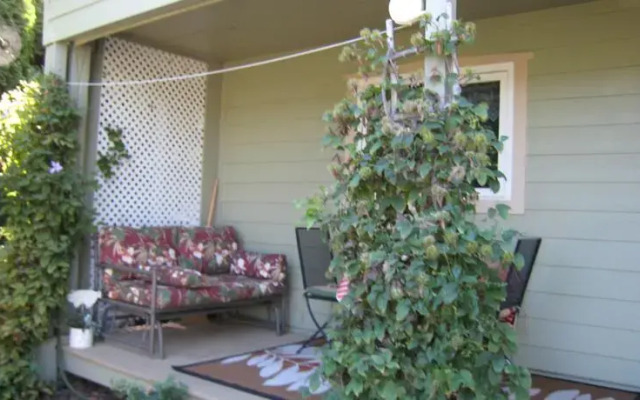 A Apples ~N~ Wine Bed & Breakfast