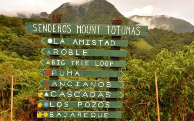 Mount Totumas Cloud Forest