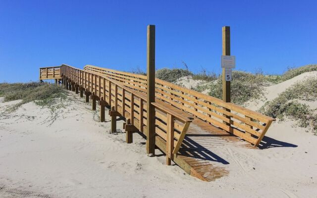 Sandy Paws 123 by RedAwning