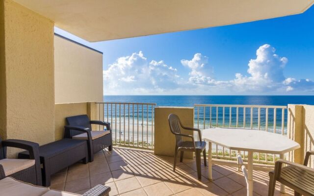 Tropical Winds by Hosteeva