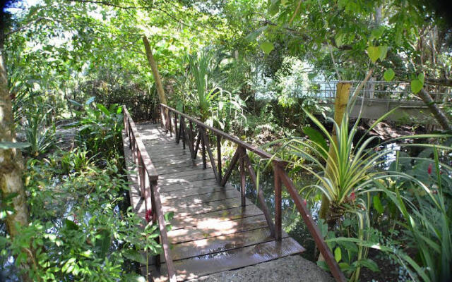 Private beach path, pool view- M03