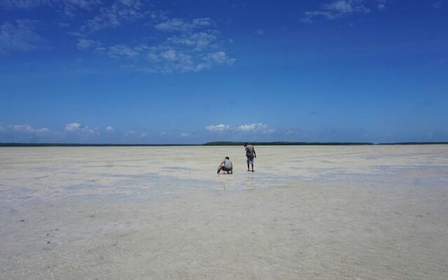 Mida Creek Nature Camp