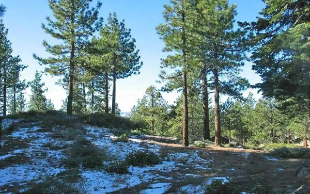 1173 Timber Lane 4 Bedroom Home