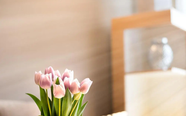 Stylish apartment in old town Prague