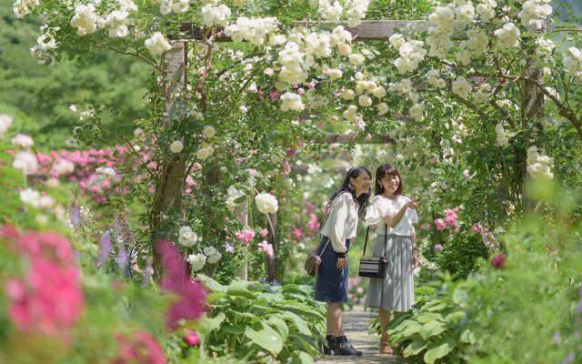 Hotel New Akao