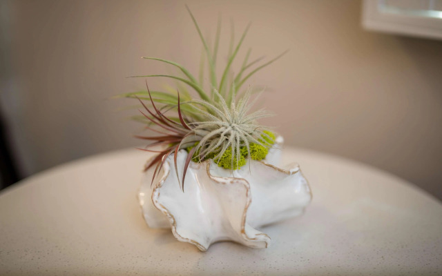 Aristocrat Hotel, BW Signature Collection