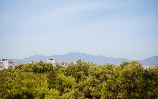 Hotel Vibra Palma Cactus