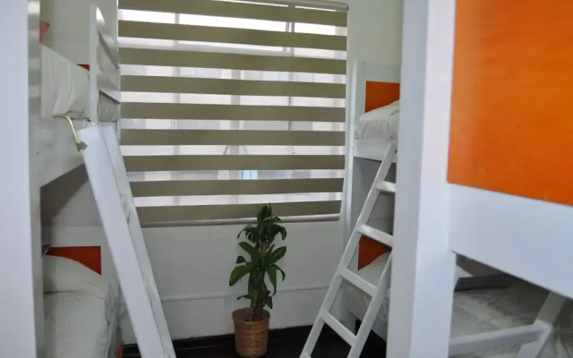 Suite Regina 94