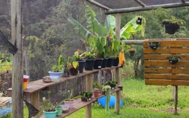 Vinícola Vale do Vinho