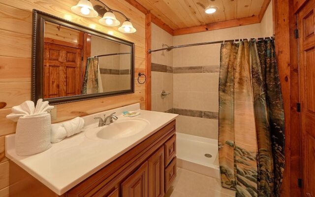 Splash Mountain Lodge Apartment 4